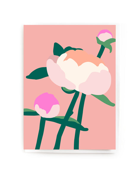 Colourful Peonies Blank