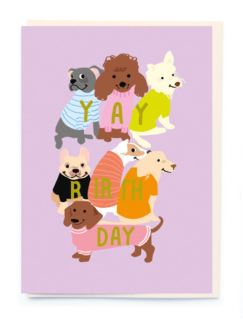 Dog Jumpers Birthday