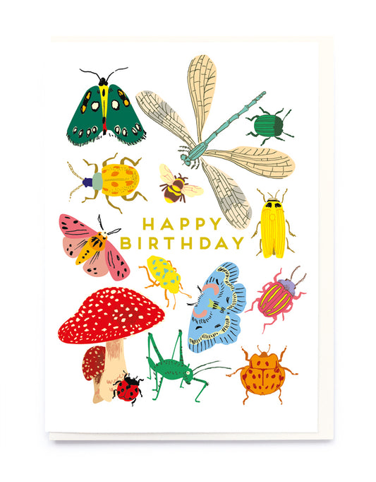 Bug Collection Birthday