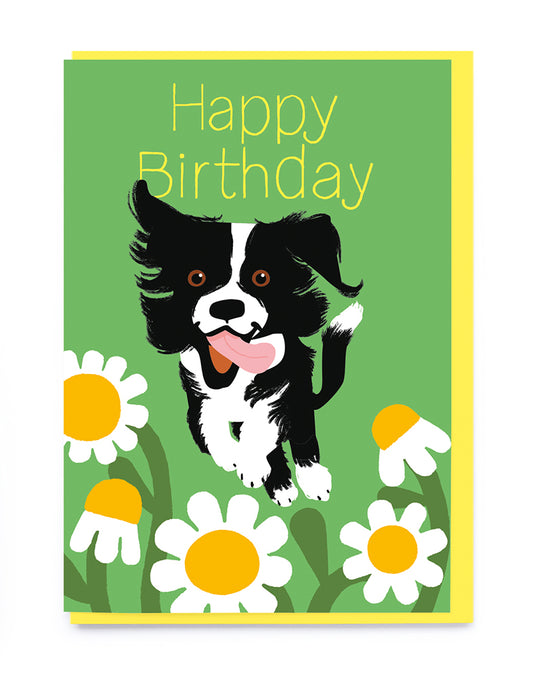 Boarder Collie Kid's Birthday
