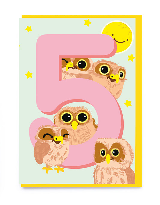 Owls Kid's Age 5