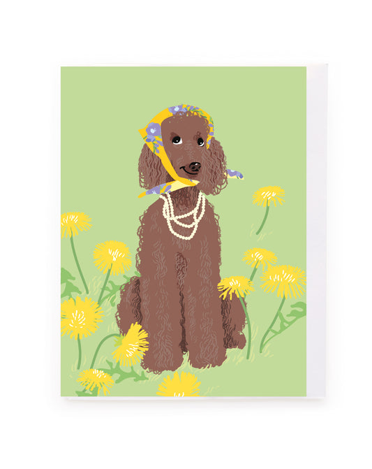 Brown Poodle Blank Mini