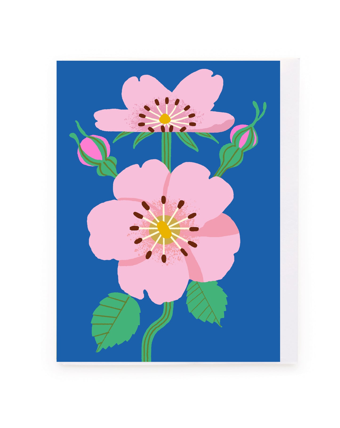 Pink Roses on Blue Blank Mini
