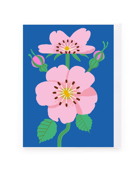 Pink Roses on Blue Blank