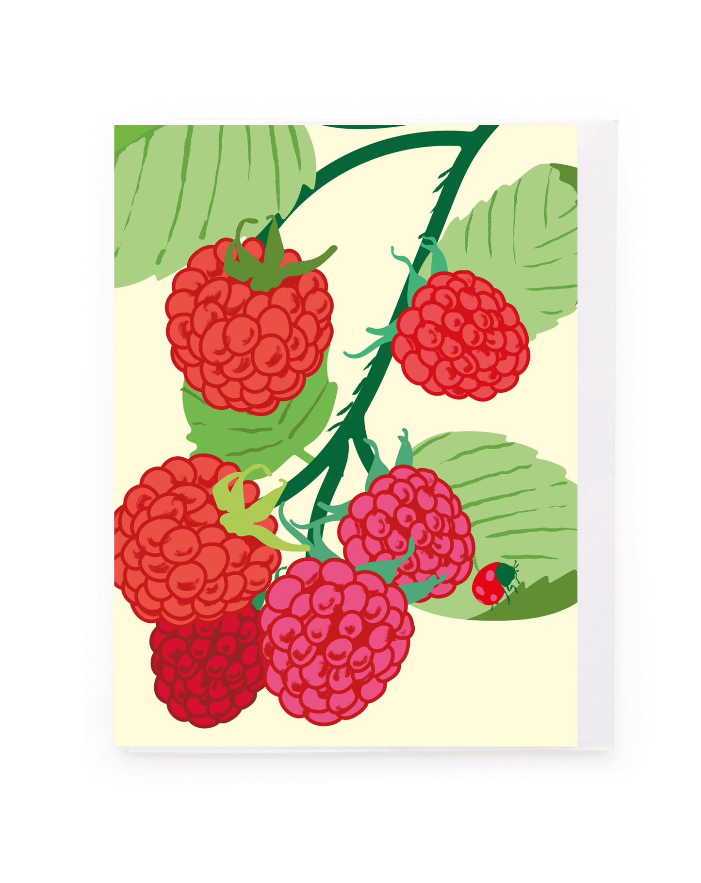 Raspberries Blank Mini