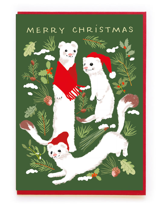 White Ferrets Christmas