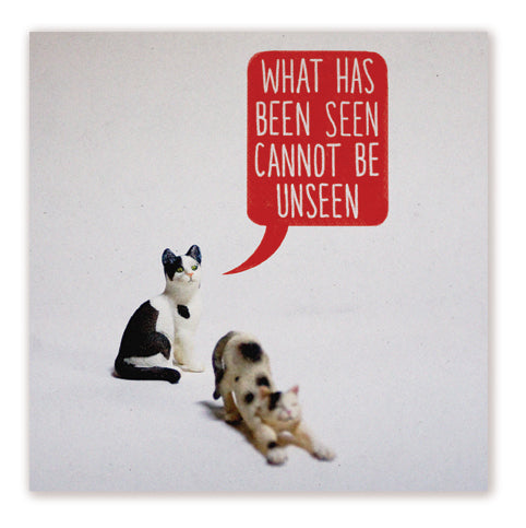 Too Much Info Toy Stories