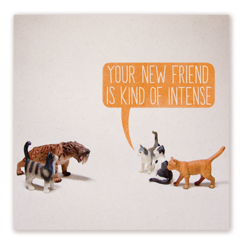 Intimidation Toy Stories