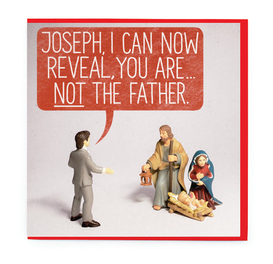 Not the Father Toy Stories Christmas