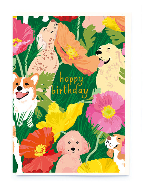 Dogs And Poppies Birthday