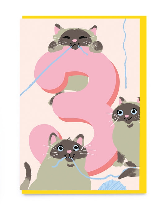 Kittens Kid's Age 3