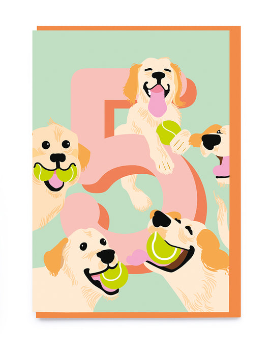 Labradors Kid's Age 5