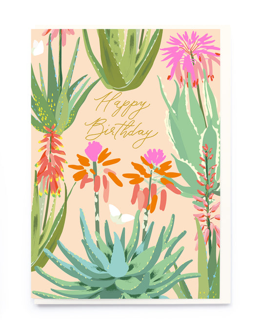 Aloe Vera Birthday