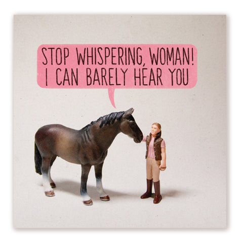 Horse Whisperer Toy Stories
